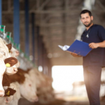 fcd producteurs laitiers